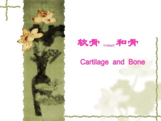 2022年医学专题—【组织学与胚胎学】软骨与骨.ppt