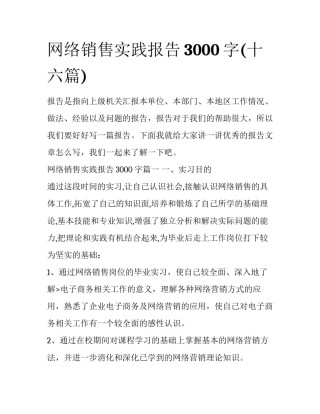 网络销售实践报告3000字(十六篇)