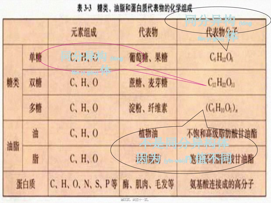 2022年医学专题—【PPT】基本营养物质(必修2).ppt_第3页