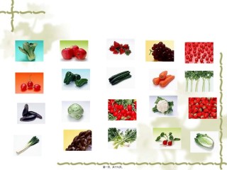 2022年医学专题—【PPT】食品中农药残留的测定(精).ppt