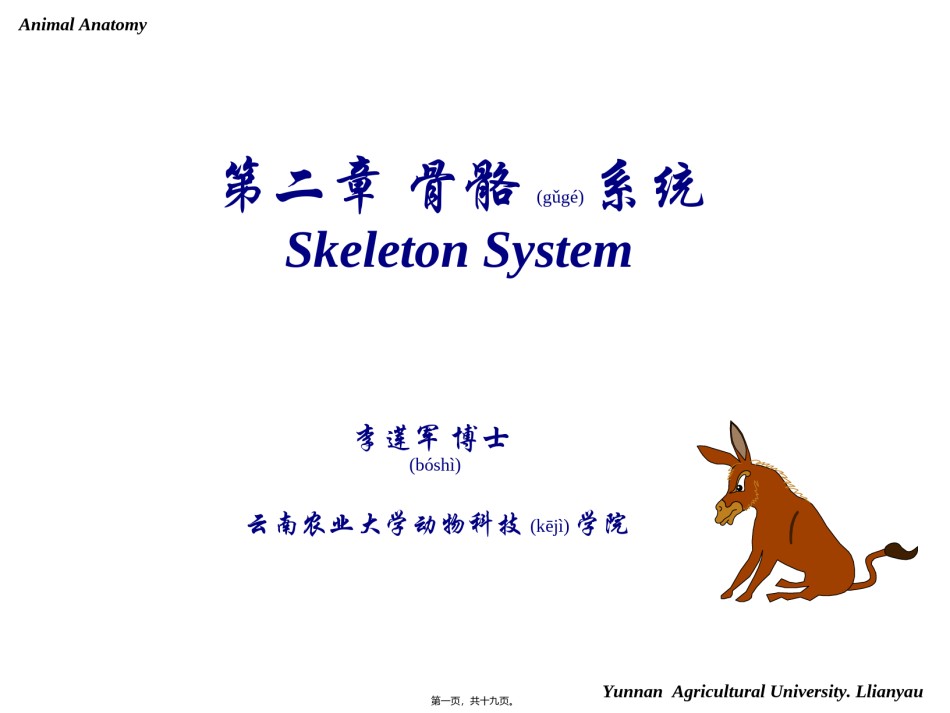 2022年医学专题—-骨骼-四肢.ppt_第1页