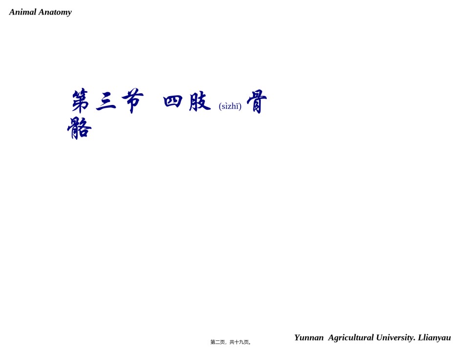 2022年医学专题—-骨骼-四肢.ppt_第2页