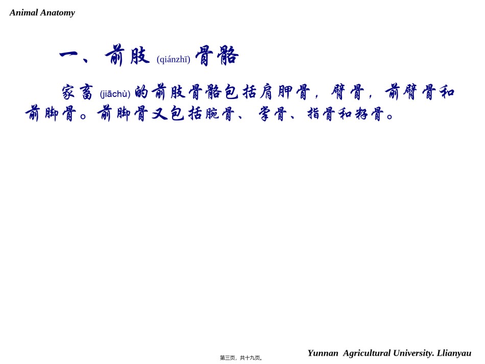 2022年医学专题—-骨骼-四肢.ppt_第3页