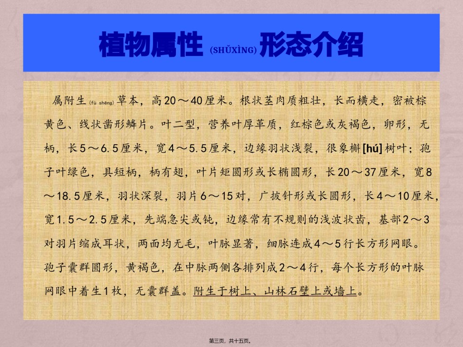 2022年医学专题—^^骨碎补.pptx_第3页