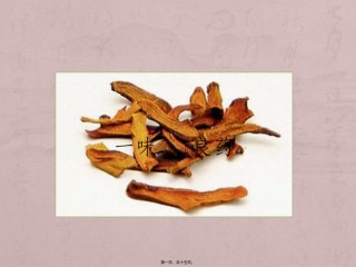 2022年医学专题—^^骨碎补.pptx