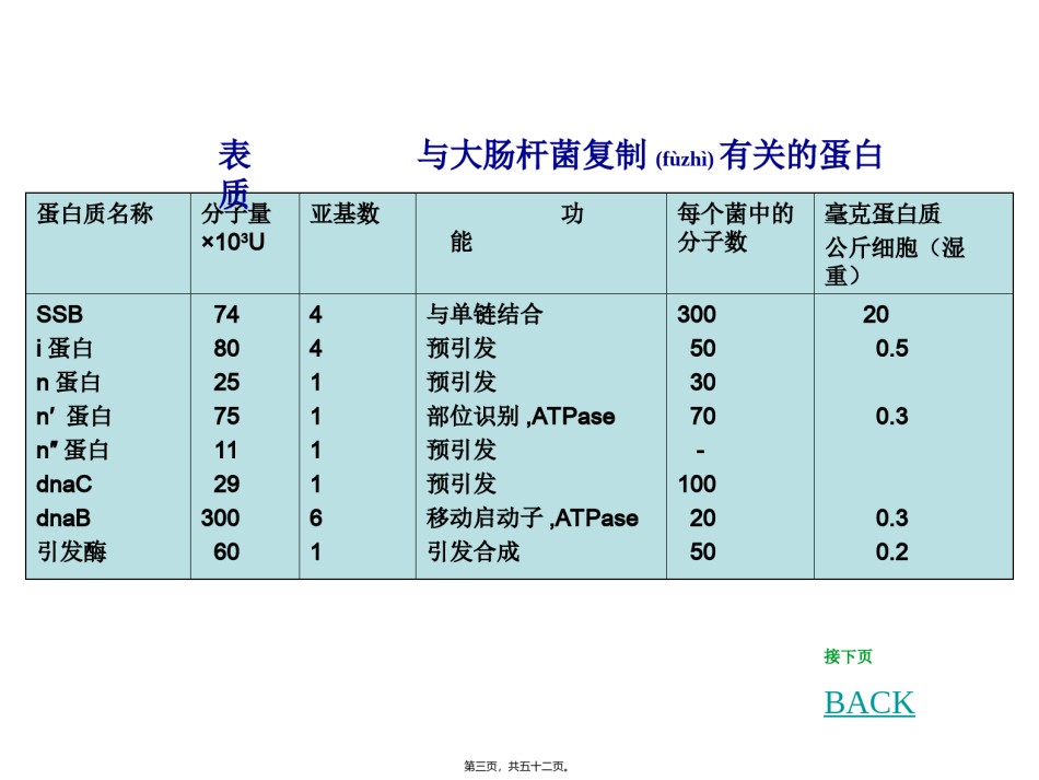 2022年医学专题—+参与DNA复制有关的酶和蛋白质.ppt_第3页