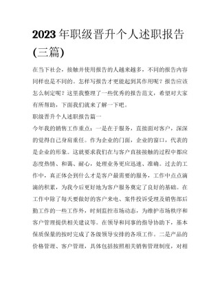 2023年职级晋升个人述职报告(三篇)