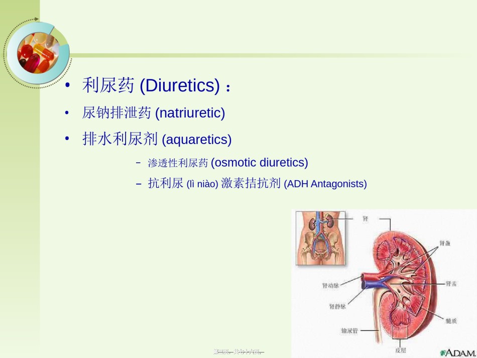 2022年医学专题—-利尿药.ppt_第3页