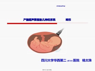 2022年医学专题—-杨太珠产前超声筛查胎儿神经系统畸形-2016.5.27.ppt