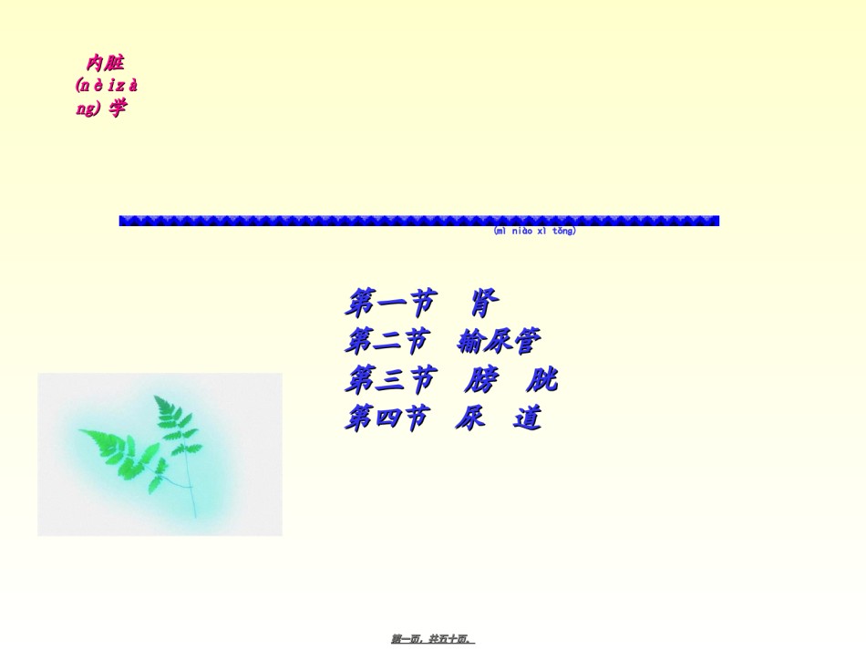 2022年医学专题—-泌尿系统.ppt_第1页