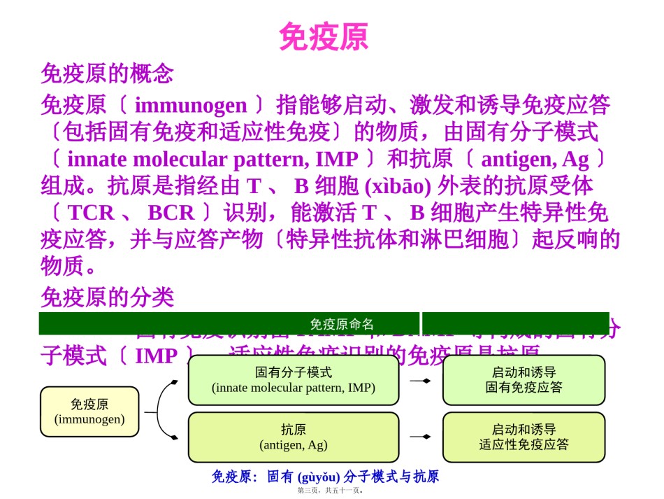 2022年医学专题—-免疫原和免疫球蛋白.pptx_第3页
