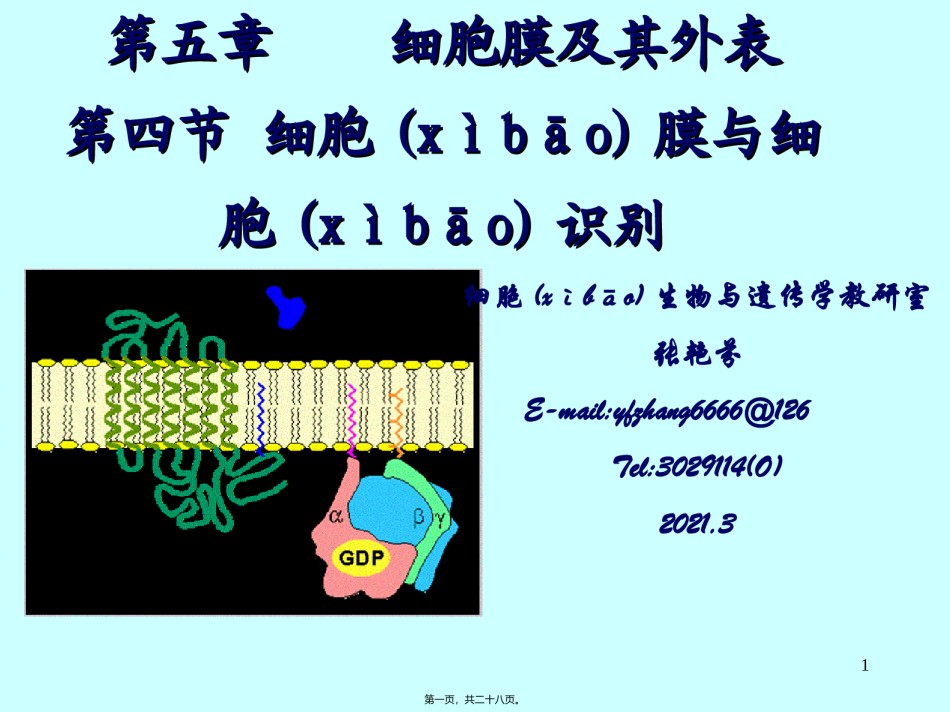 2022年医学专题—-膜受体与细胞识别课稿.ppt_第1页