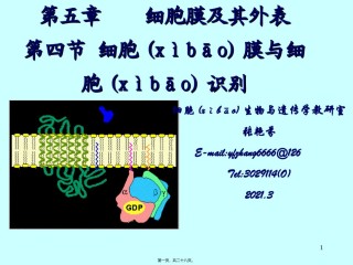 2022年医学专题—-膜受体与细胞识别课稿.ppt
