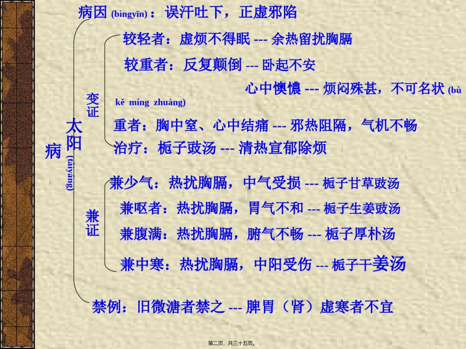 2022年医学专题—-太阳病变证-热证和虚证.ppt_第2页