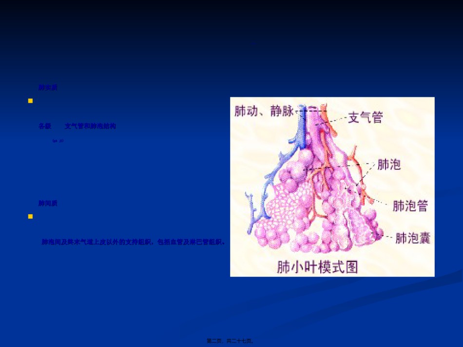 2022年医学专题—-特发性肺纤维化.ppt_第2页