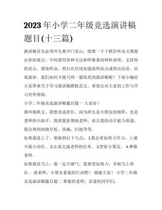 2023年小学二年级竞选演讲稿题目(十三篇)