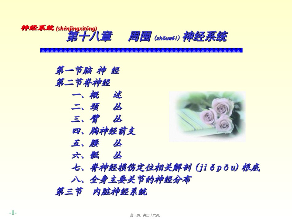 2022年医学专题—-周围神经系统脑、脊神经.ppt_第1页