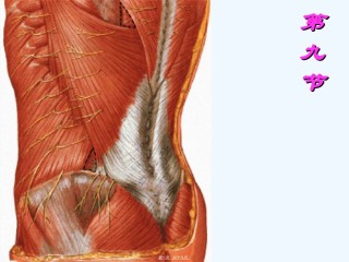 2022年医学专题—、急性腰部扭挫伤.ppt