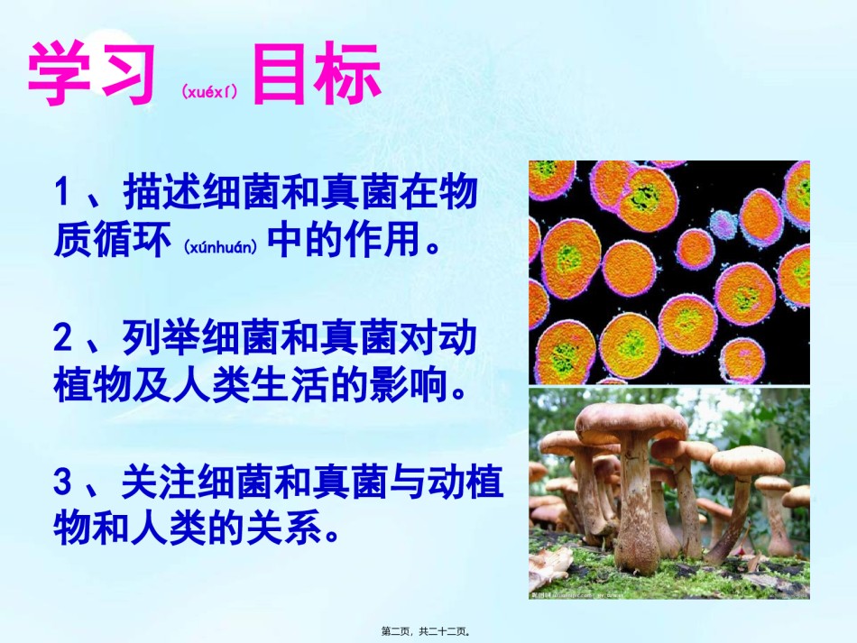 2022年医学专题—、4、4细菌和真菌在自然界中的作用-(2).ppt_第2页