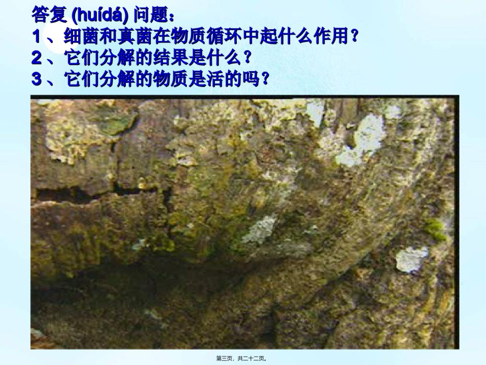 2022年医学专题—、4、4细菌和真菌在自然界中的作用-(2).ppt_第3页