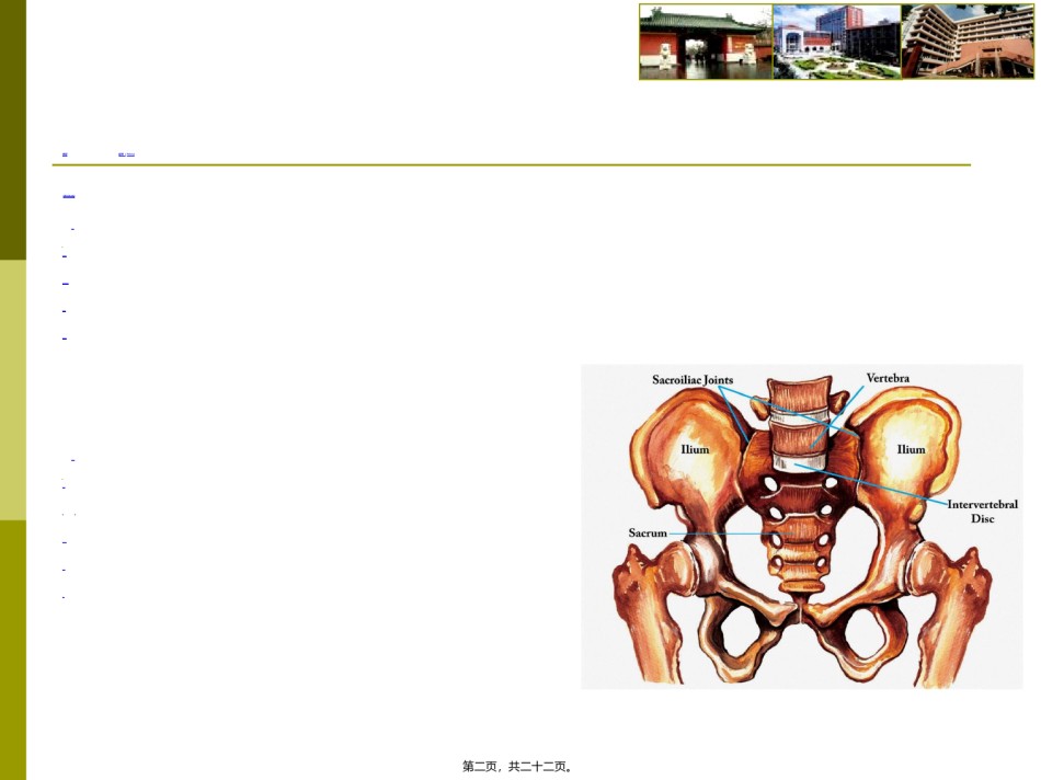 2022年医学专题—、本科生教学-骨盆骨折.ppt_第2页