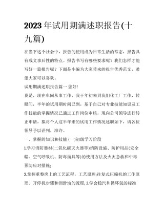 2023年试用期满述职报告(十九篇)