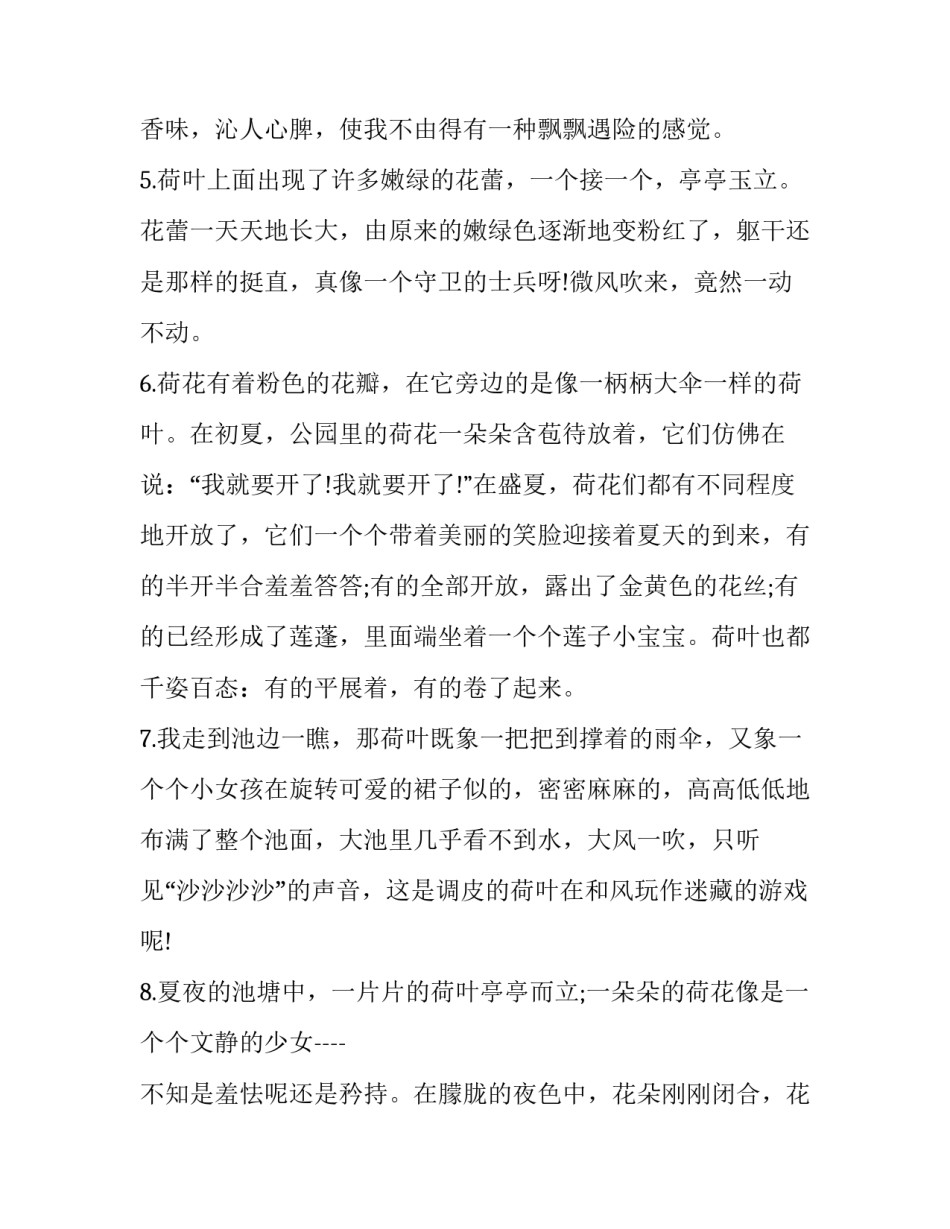 风把荷花刮得摇摆不定改为拟人句_第3页