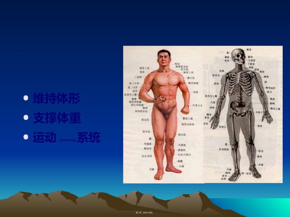 2022年医学专题—.1第六章-第一节骨折概论.ppt_第2页