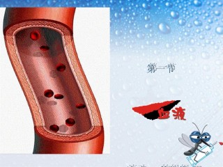 2022年医学专题—.1流动的组织——血液--ls.ppt
