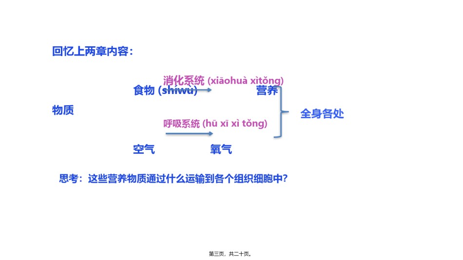 2022年医学专题—.1流动的组织——血液(19张PPT).pptx_第3页