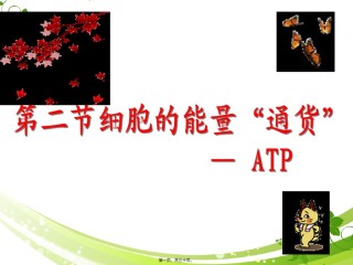 2022年医学专题—.2-细胞的能量通货-ATP.ppt