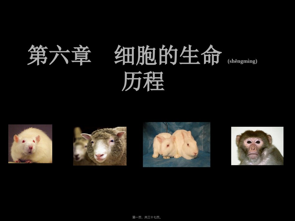 2022年医学专题—.2-细胞分化-(共36张PPT).ppt_第1页