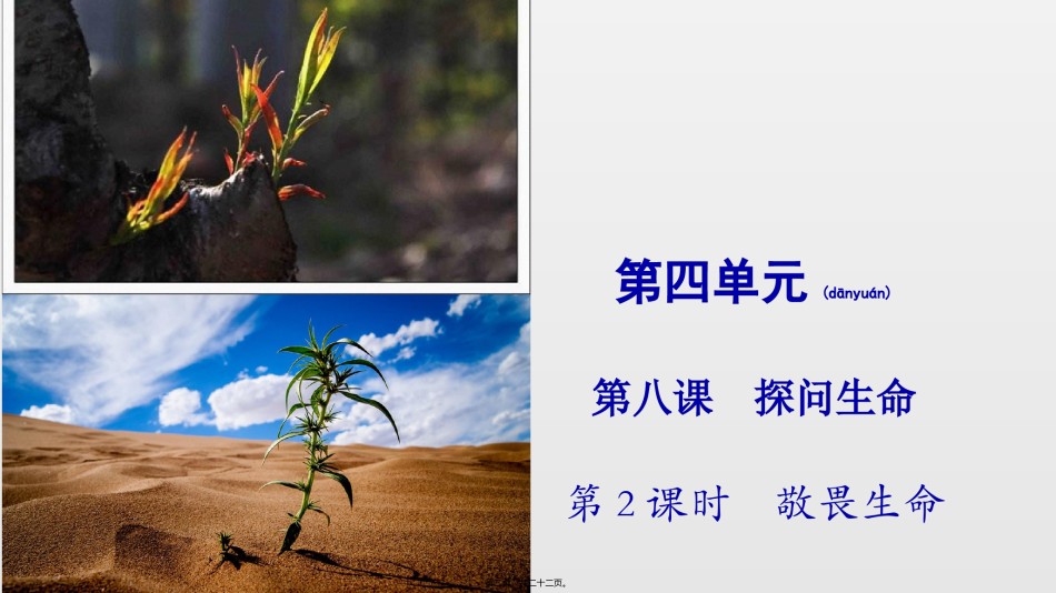 2022年医学专题—.2-敬畏生命.pptx_第2页