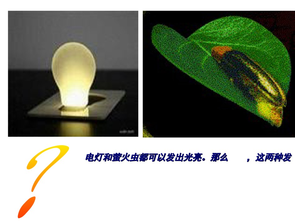 2022年医学专题—.2-细胞的能量“通货”——ATP.ppt_第3页