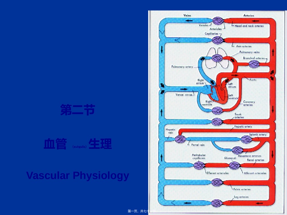 2022年医学专题—.2-血管生理.ppt_第1页