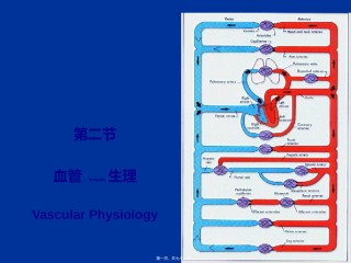 2022年医学专题—.2-血管生理.ppt