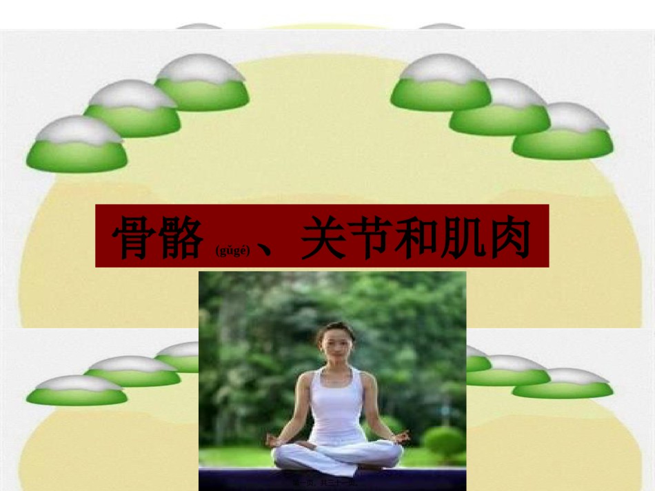2022年医学专题—.2骨骼、关节和肌肉.ppt_第1页