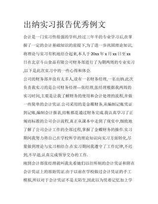 出纳实习报告优秀例文