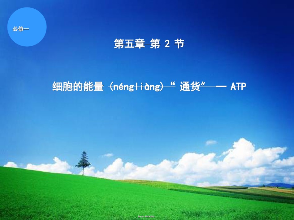 2022年医学专题—.2细胞的能量“通货”--ATP(上课版)(共32张PPT).ppt_第1页