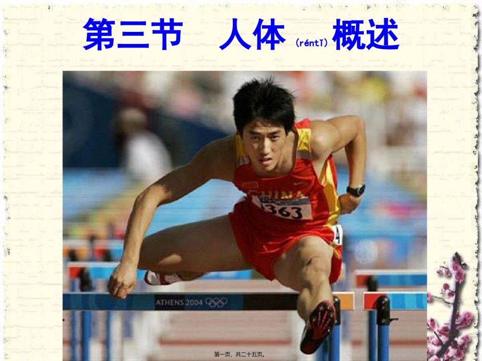 2022年医学专题—.3人体概述.ppt_第1页
