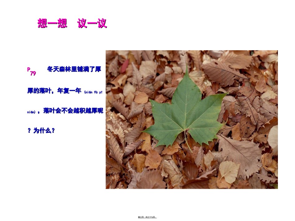 2022年医学专题—.4.4细菌和真菌在自然界中的作用.ppt_第3页