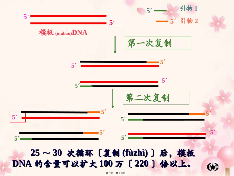 2022年医学专题—.3血红蛋白的提取及分离(1).ppt_第3页