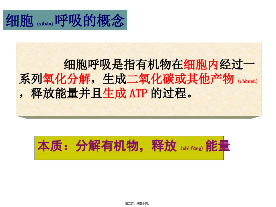 2022年医学专题—.3ATP的主要来源—细胞呼吸.ppt_第2页