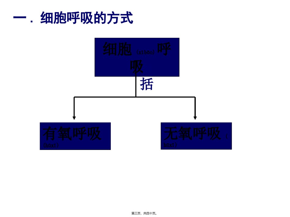 2022年医学专题—.3ATP的主要来源—细胞呼吸.ppt_第3页