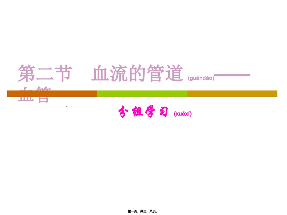 2022年医学专题—.4.2血流的管道——血管.ppt_第1页