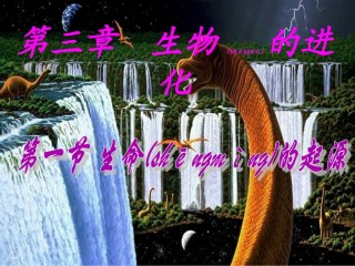 2022年医学专题—.31-地球上生命的起源汇总.ppt