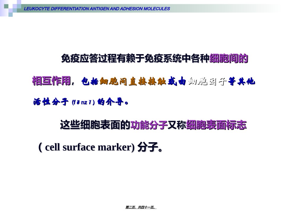 2022年医学专题—.白细胞分化抗原和粘附分子.ppt_第2页