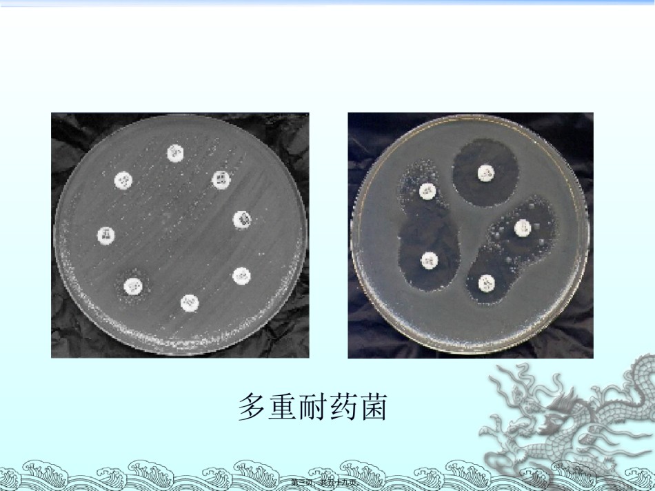 2022年医学专题—.多重耐药菌感染流行趋势.ppt_第3页