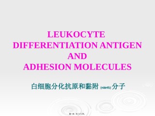 2022年医学专题—.白细胞分化抗原和粘附因子.ppt