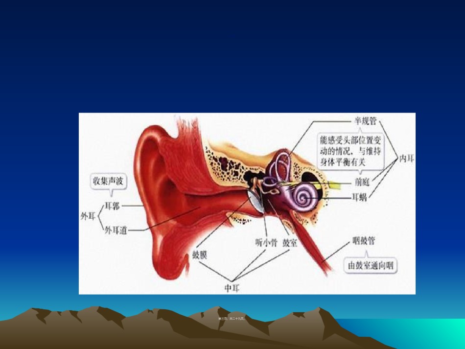 2022年医学专题—.儿童听力障碍剖析.ppt_第3页